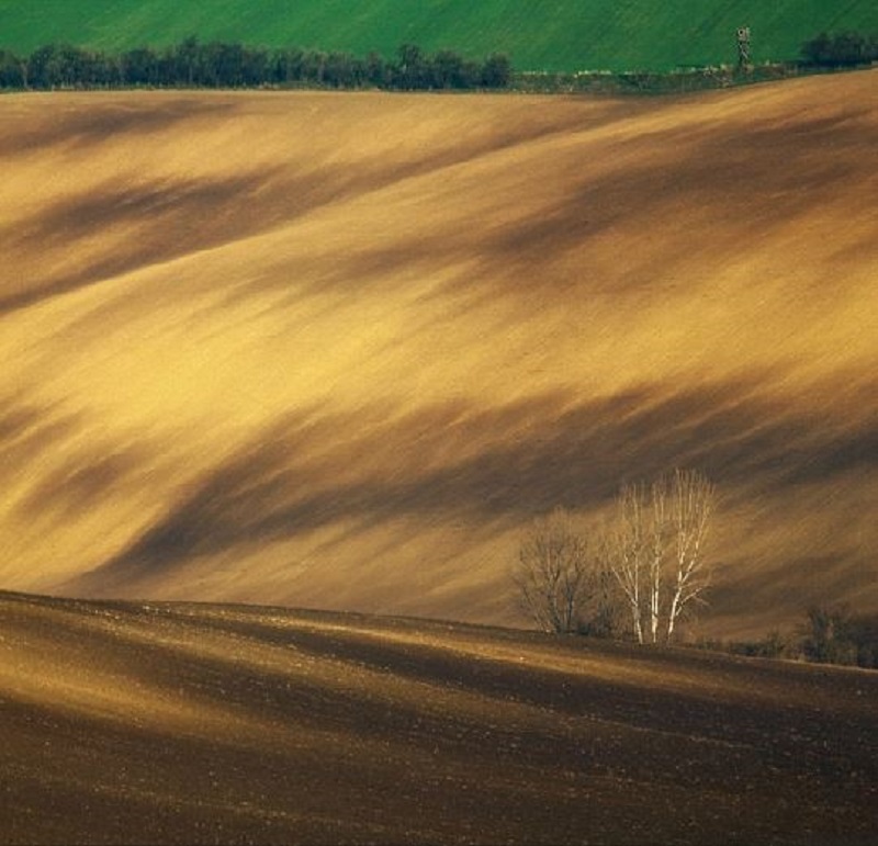 Southern_Moravia_Czech_Reublic_Krzysztof_Browko-19