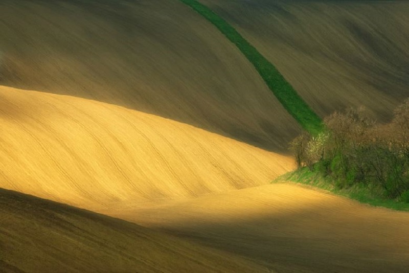 Southern_Moravia_Czech_Reublic_Krzysztof_Browko-21