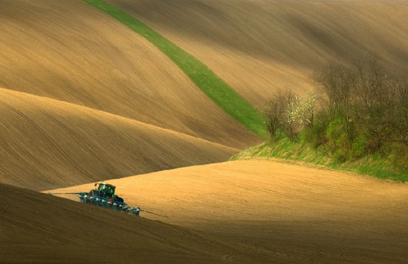 Southern_Moravia_Czech_Reublic_Krzysztof_Browko-22