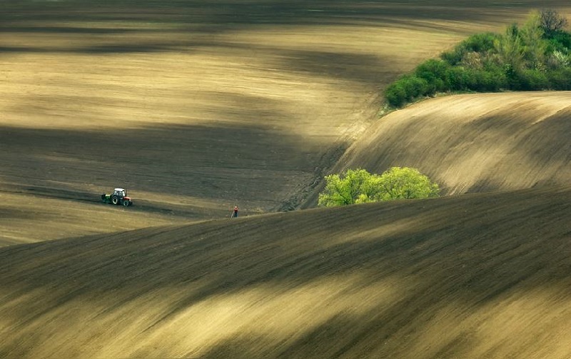 Southern_Moravia_Czech_Reublic_Krzysztof_Browko-27