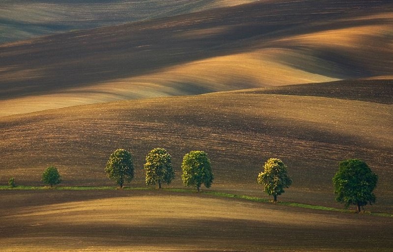 Southern_Moravia_Czech_Reublic_Krzysztof_Browko-30