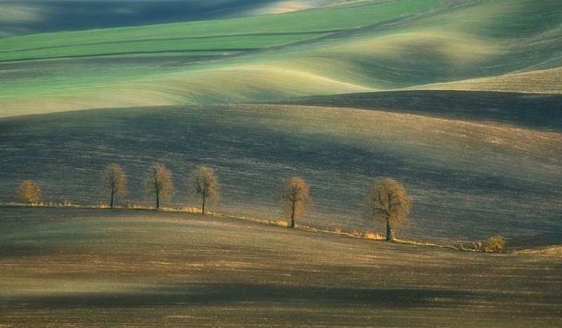 Southern_Moravia_Czech_Reublic_Krzysztof_Browko-31