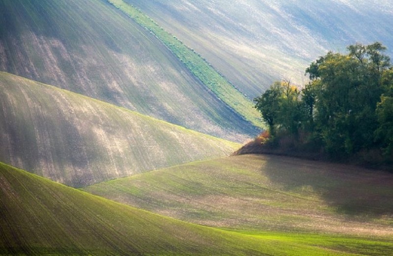 Southern_Moravia_Czech_Reublic_Krzysztof_Browko-35