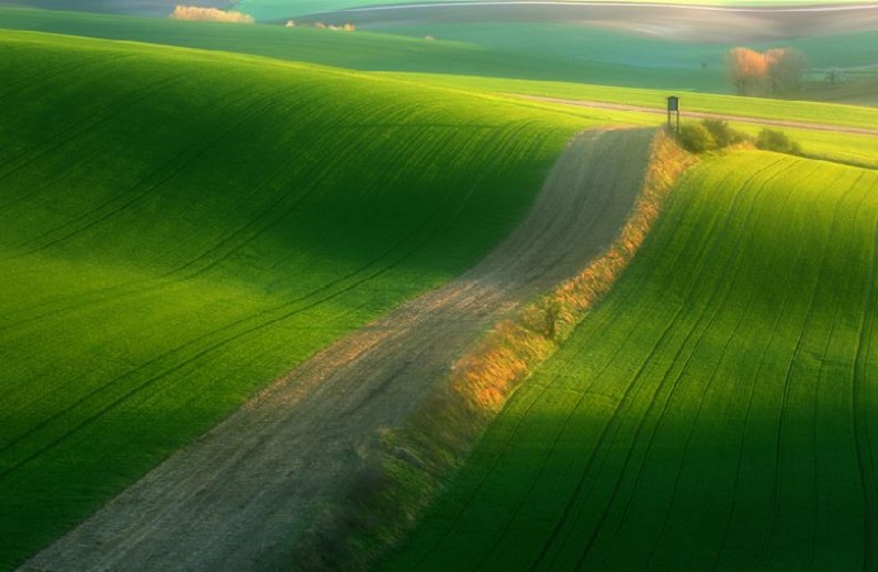 Southern_Moravia_Czech_Reublic_Krzysztof_Browko-5