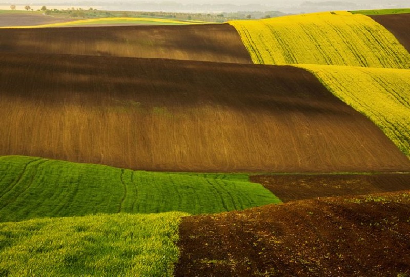 Southern_Moravia_Czech_Reublic_Krzysztof_Browko-7