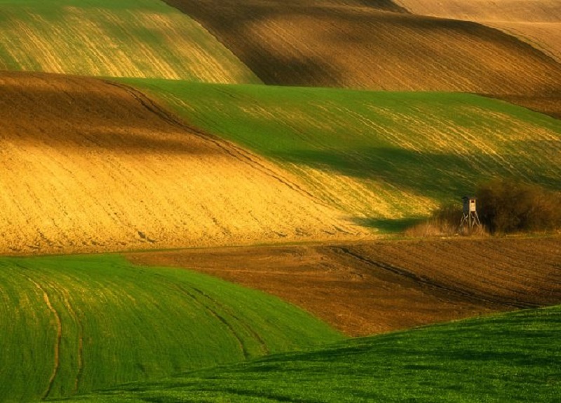 Southern_Moravia_Czech_Reublic_Krzysztof_Browko-8