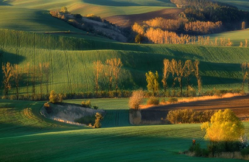 Southern_Moravia_Czech_Reublic_Krzysztof_Browko_R-11