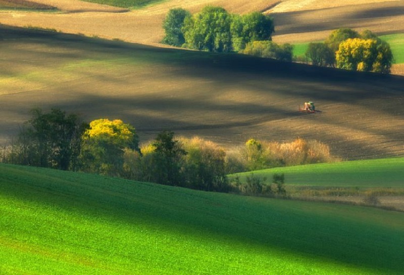 Southern_Moravia_Czech_Reublic_Krzysztof_Browko_R-12