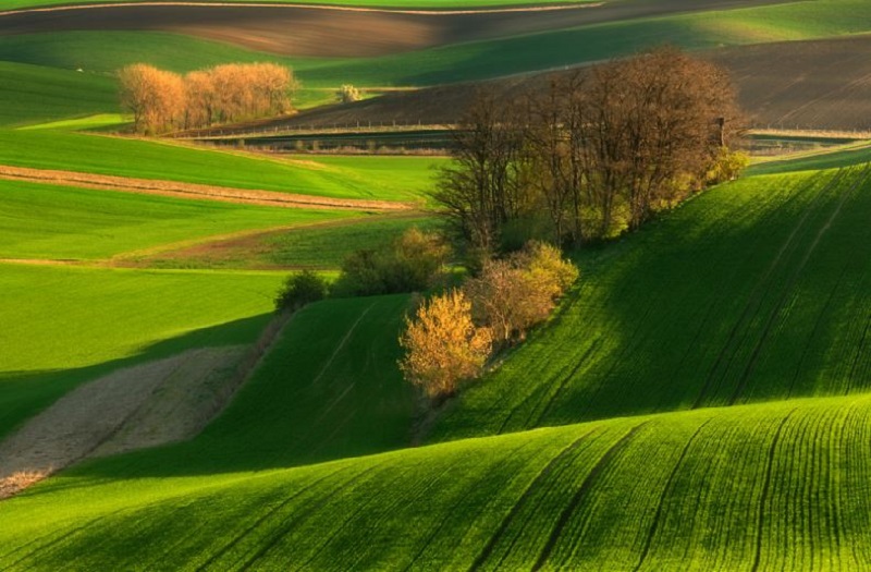 Southern_Moravia_Czech_Reublic_Krzysztof_Browko_R-5