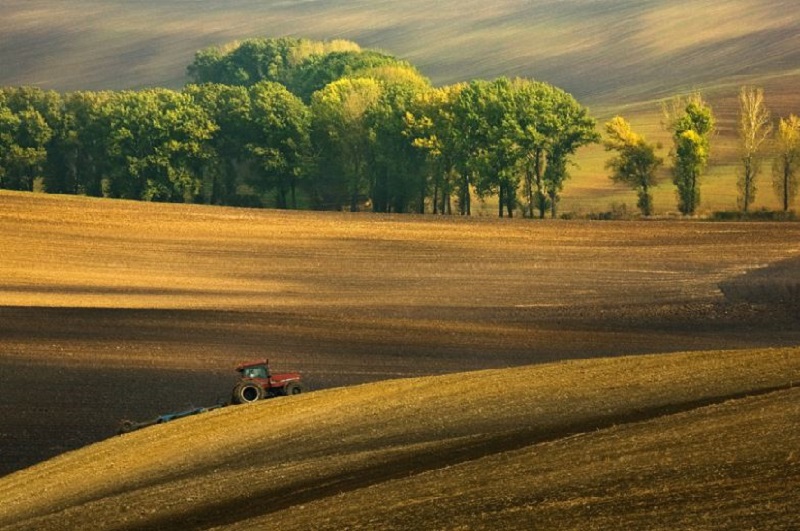 Southern_Moravia_Czech_Reublic_Krzysztof_Browko_R-8