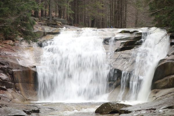 Mummelfall-Tres-Bohemes