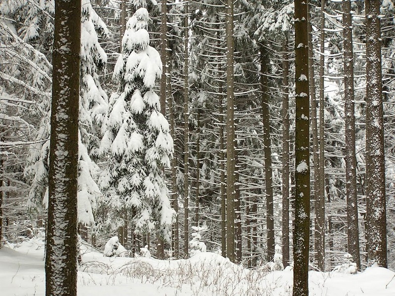 The Wintery Wonderland at Hodkovice u Trutnova