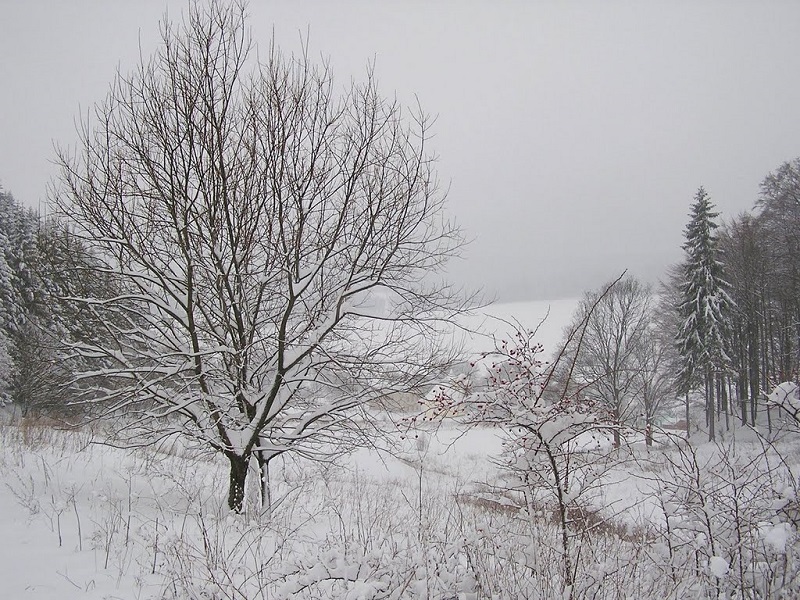 The Wintery Wonderland at Hodkovice u Trutnova