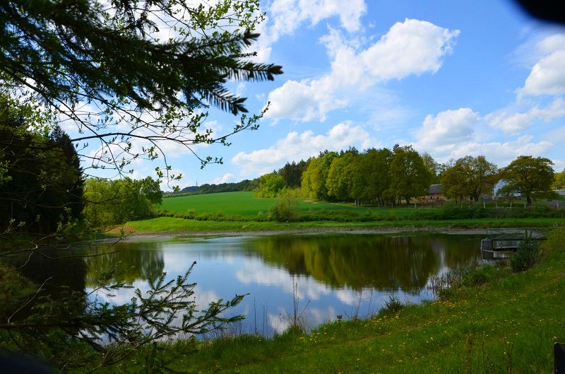 Czech-Republics-Highway-Rest-Stop-and-Restaurant-Motorest-U-Rybiček