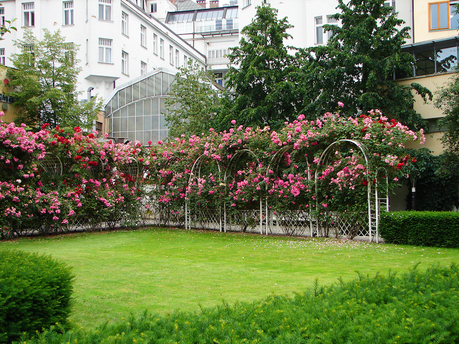 Charles-University-Botanical-Garden-Tres-Bohemes-6