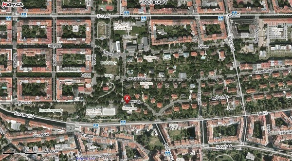 Šaloun's Villa or Šalounova Vila