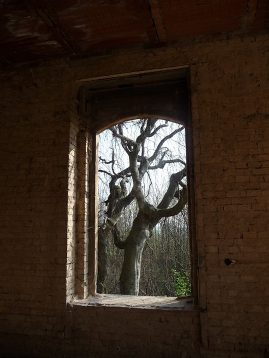 Abandoned Pfaffenhof Mansion Near the Richard Factory Complex, Litoměřice