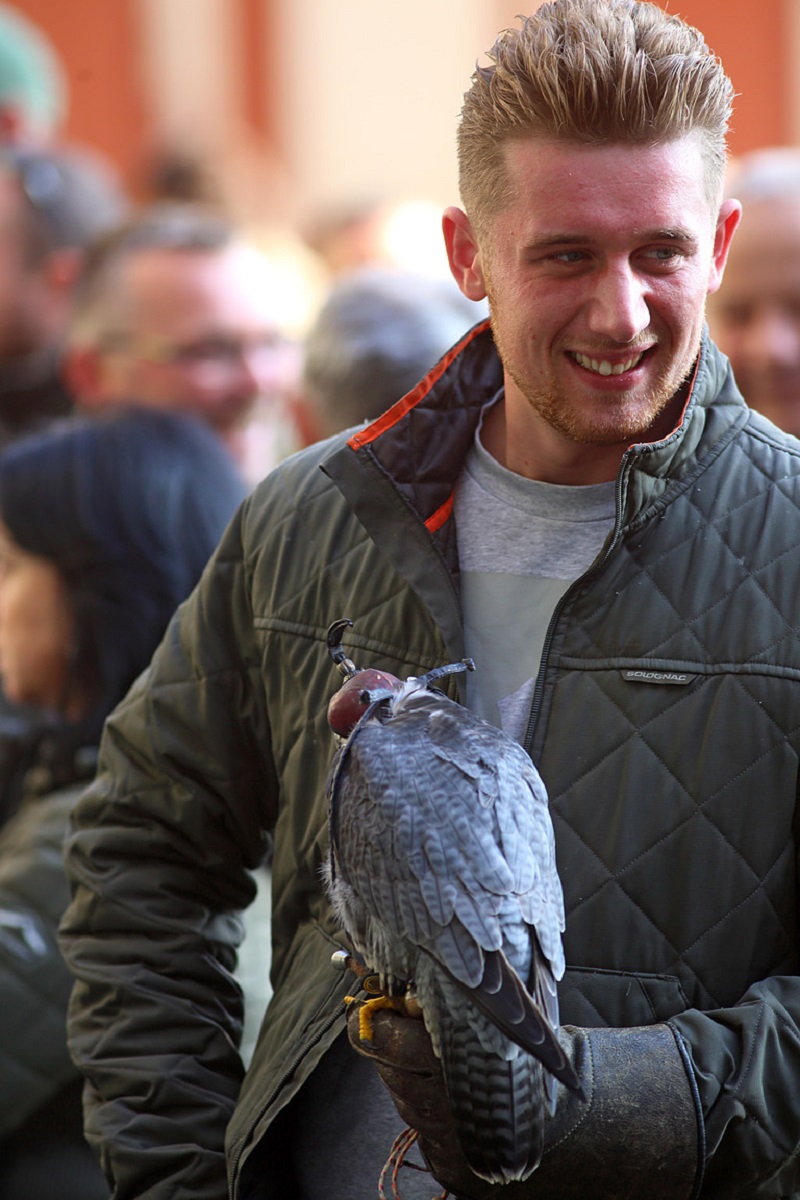Czech Falconers and Their Timeless Tradition of Falconry