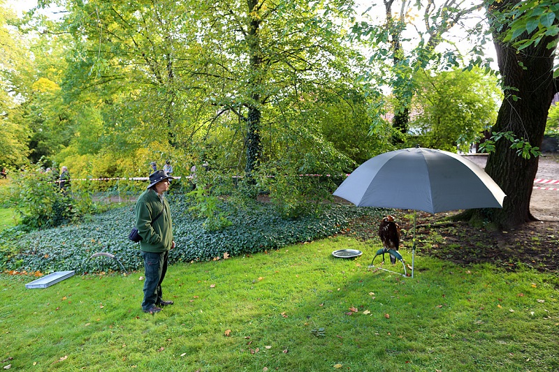 Czech Falconers and Their Timeless Tradition of Falconry