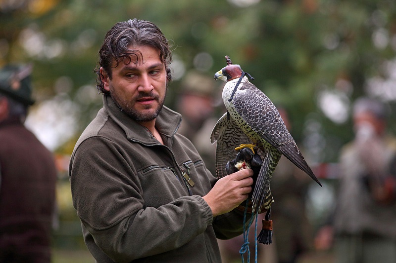 Czech Falconers and Their Timeless Tradition of Falconry