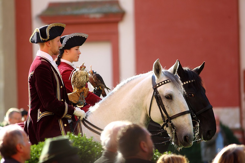 Czech Falconers and Their Timeless Tradition of Falconry