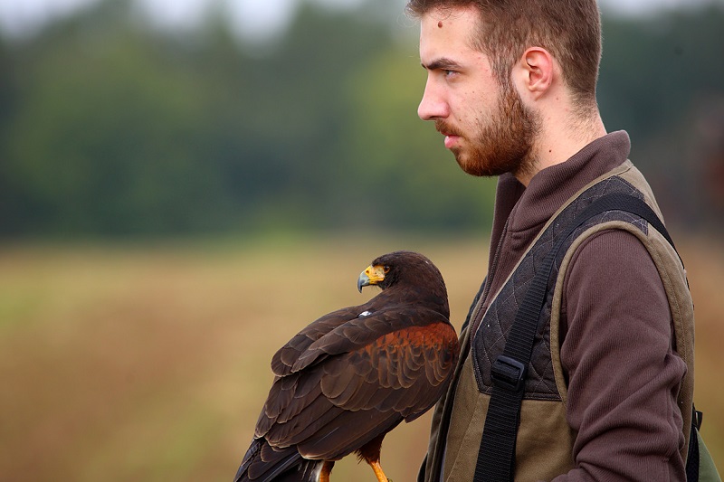 Czech Falconers and Their Timeless Tradition of Falconry
