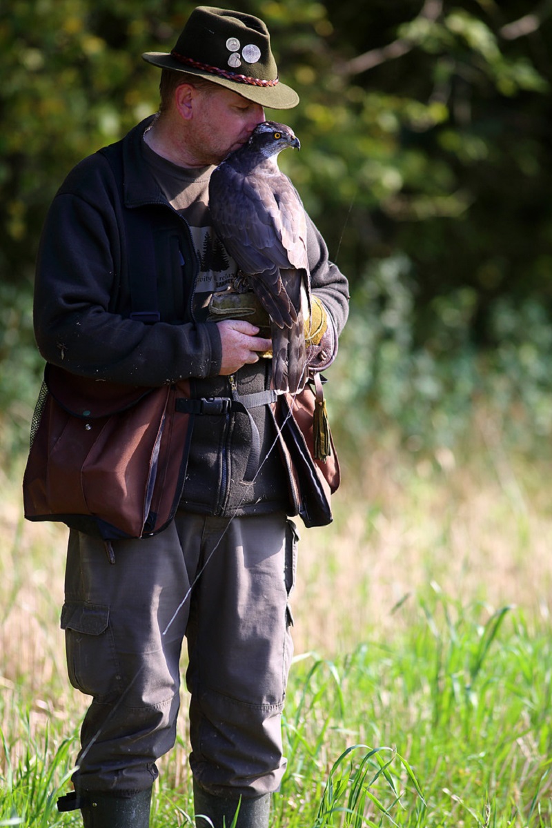 Czech Falconers and Their Timeless Tradition of Falconry