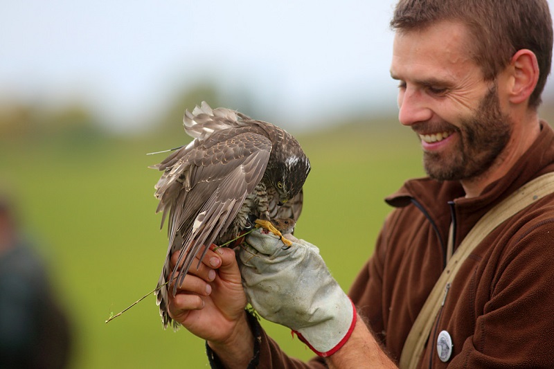 Czech Falconers and Their Timeless Tradition of Falconry
