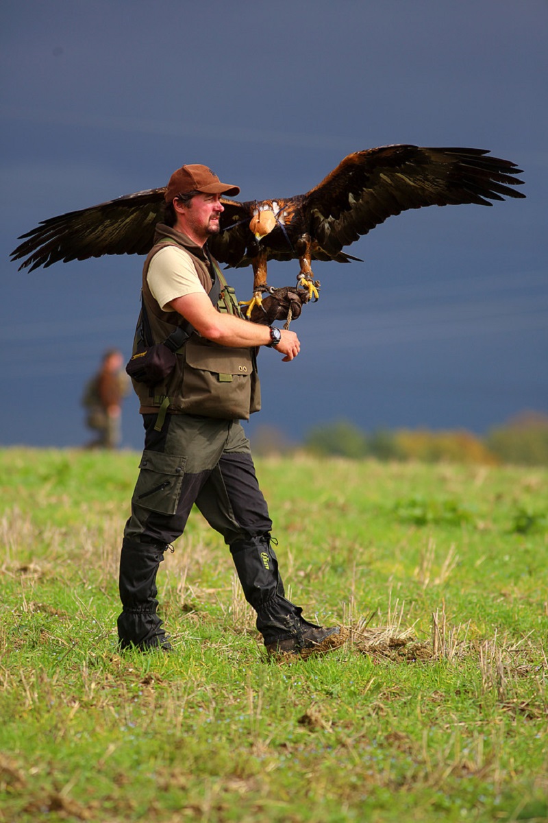 Czech Falconers and Their Timeless Tradition of Falconry