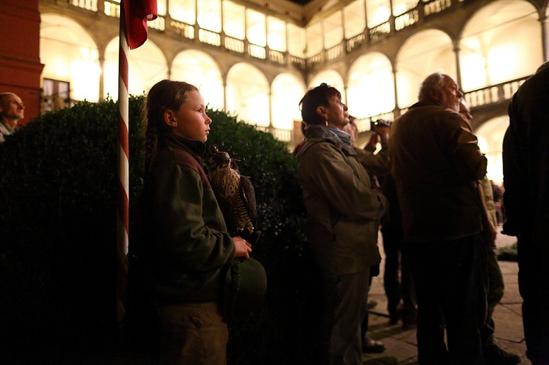 Czech Falconers and Their Timeless Tradition of Falconry
