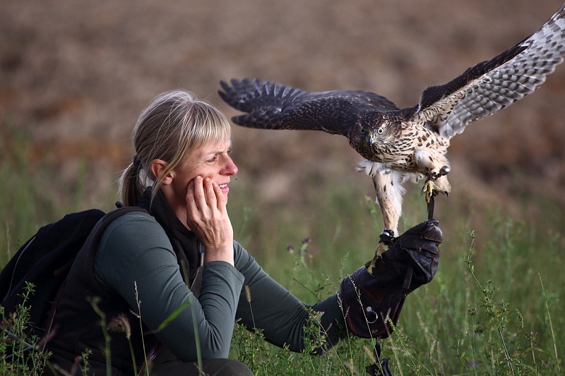 Czech Falconers and Their Timeless Tradition of Falconry