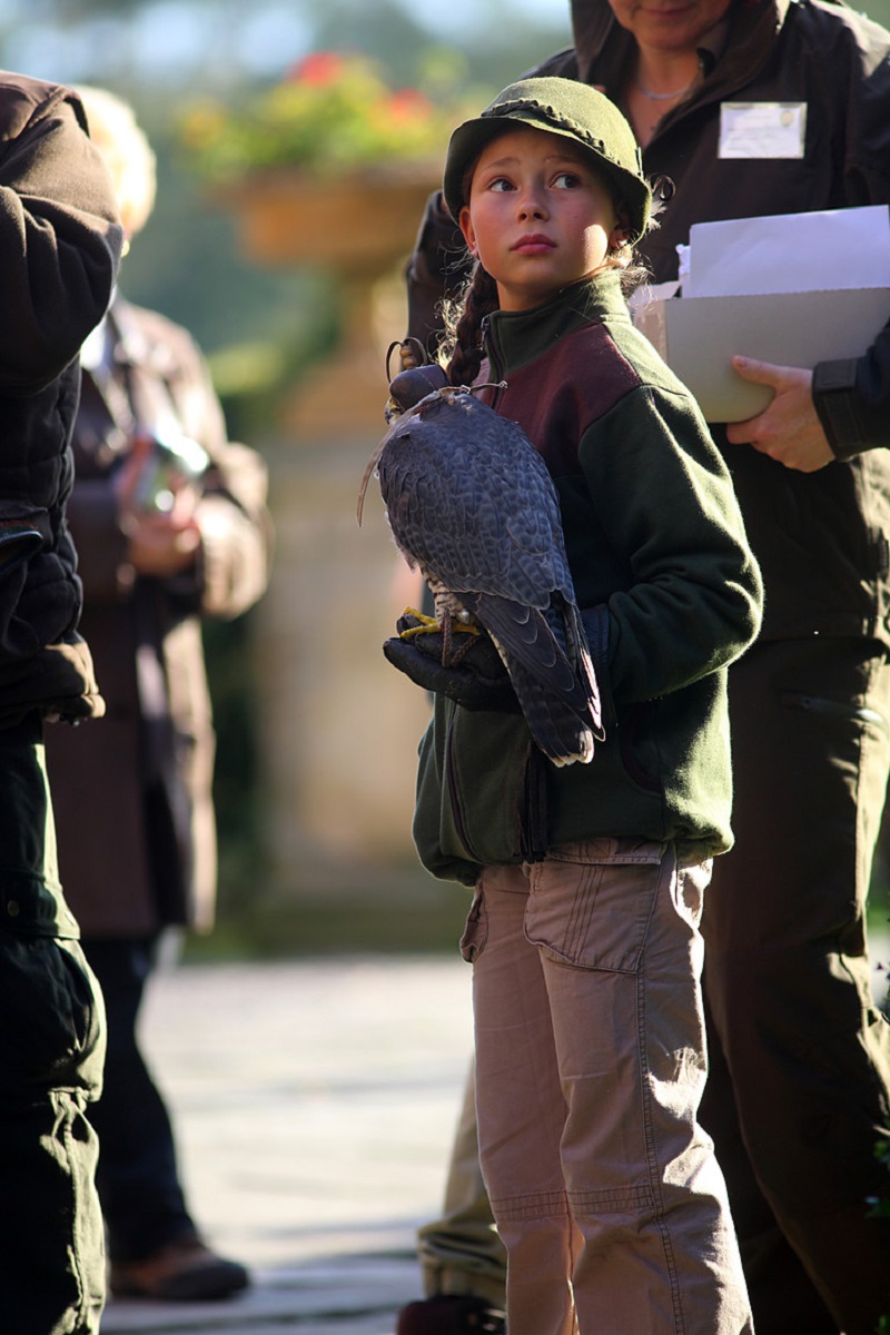 Czech Falconers and Their Timeless Tradition of Falconry