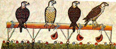 Czech Falconers and Their Timeless Tradition of Falconry