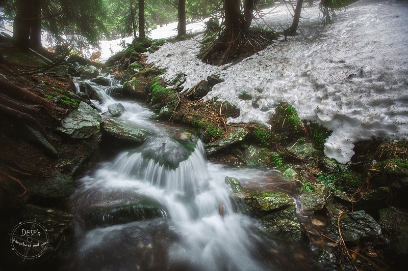 Fairytale Foggy Forests of the Czech Republic