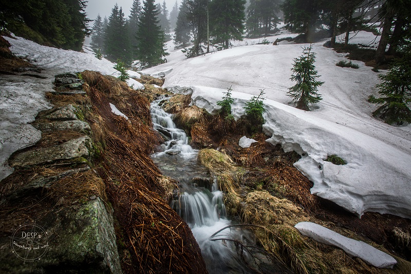 Fairytale Foggy Forests of the Czech Republic