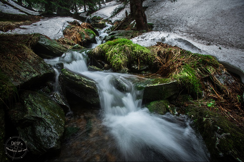 Fairytale Foggy Forests of the Czech Republic