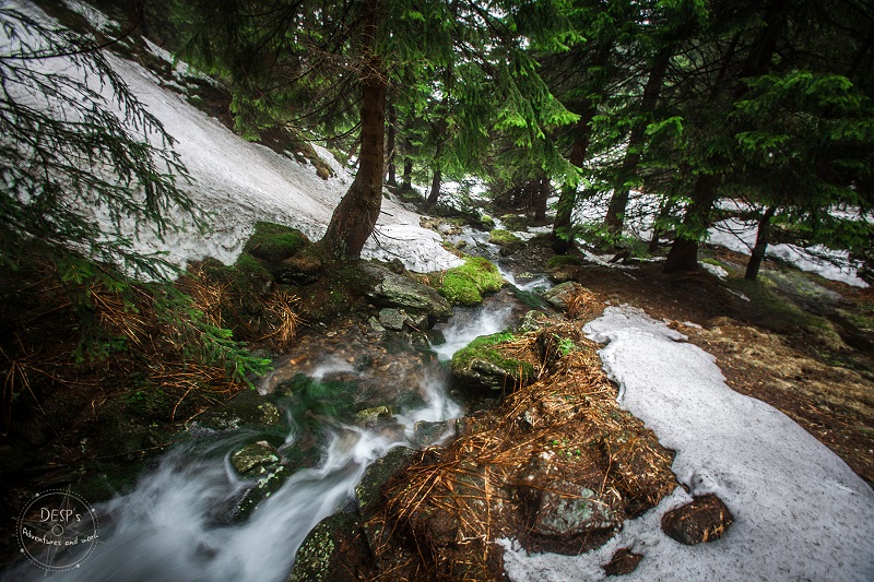 Fairytale Foggy Forests of the Czech Republic