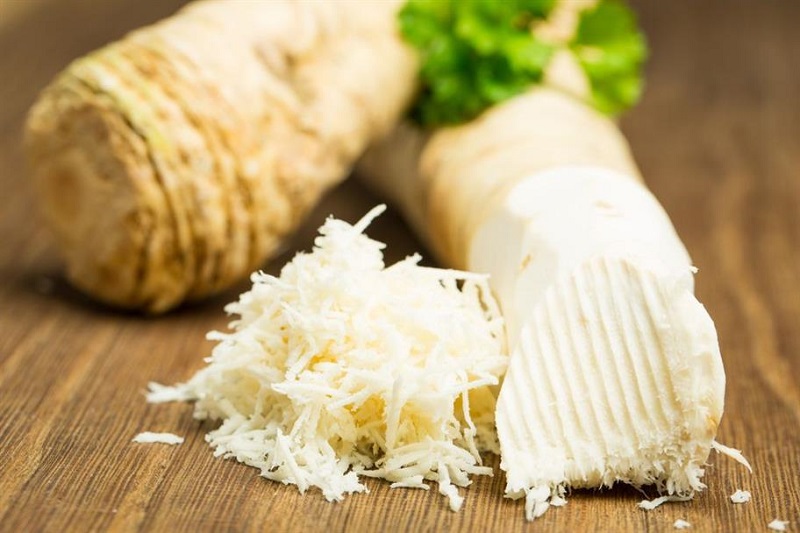 Horse Radish Culture in Bohemia