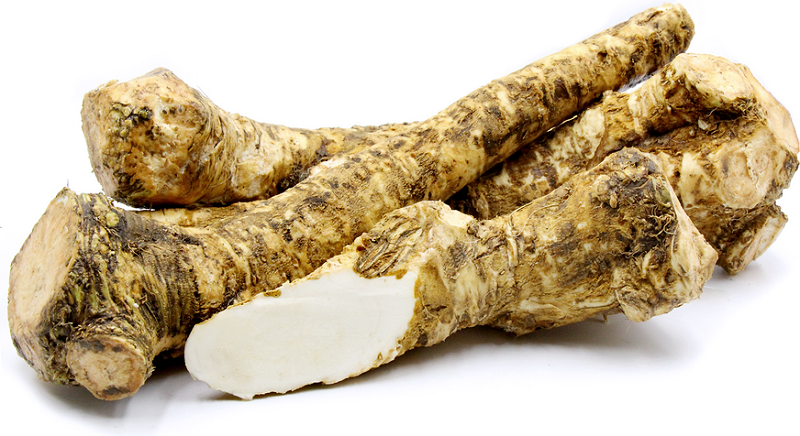 Horse Radish Culture in Bohemia