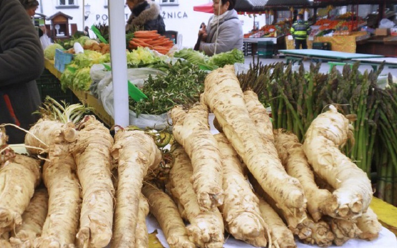 Horse Radish Culture in Bohemia