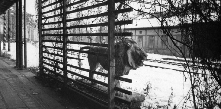 The Tragic Fate of the Vysehrad Train Station