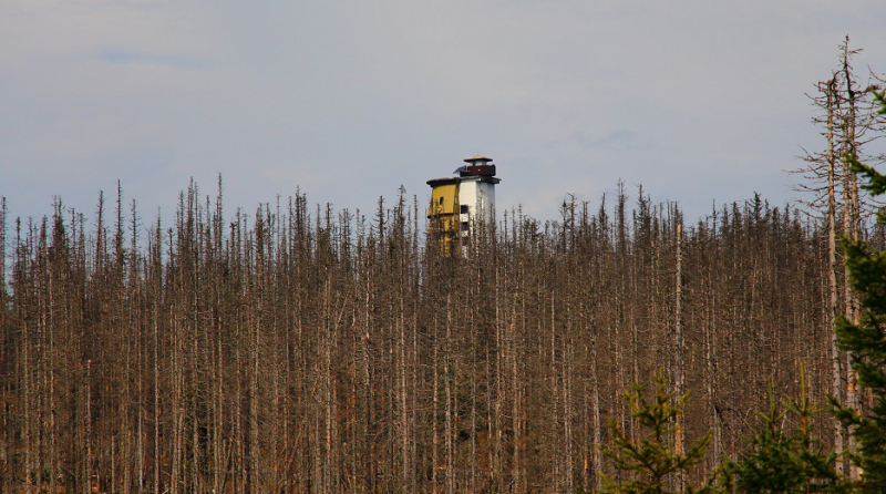 Poledník Lookout Tower