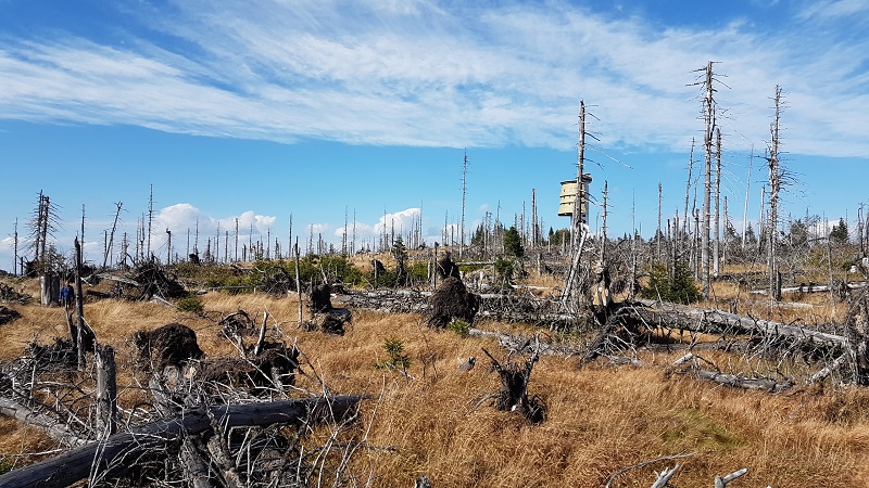 Poledník Lookout Tower