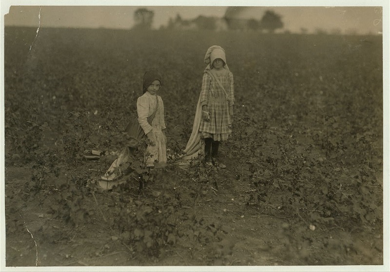 Bohemian Farming Families of the Early 1900s