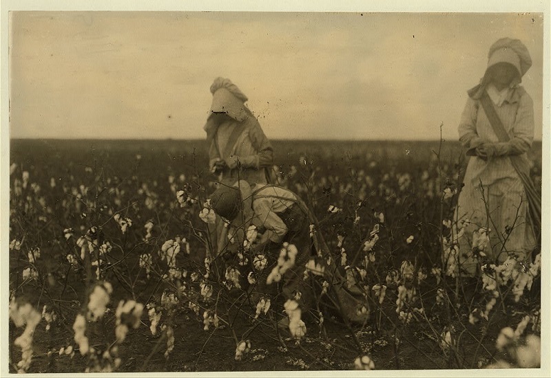 Bohemian Farming Families of the Early 1900s