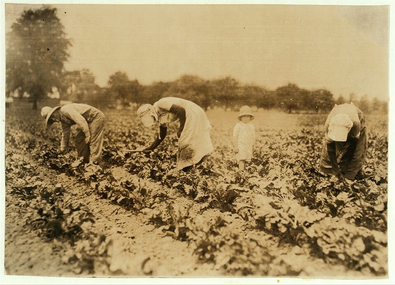 What Was Farming Like In The 1900s What Was Farming Like In The 1900s
