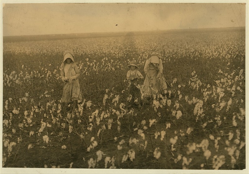 Bohemian Farming Families of the Early 1900s