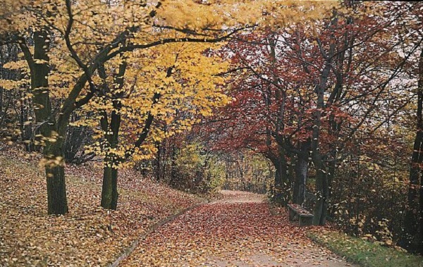 Earliest Czech Autochrome Photograph