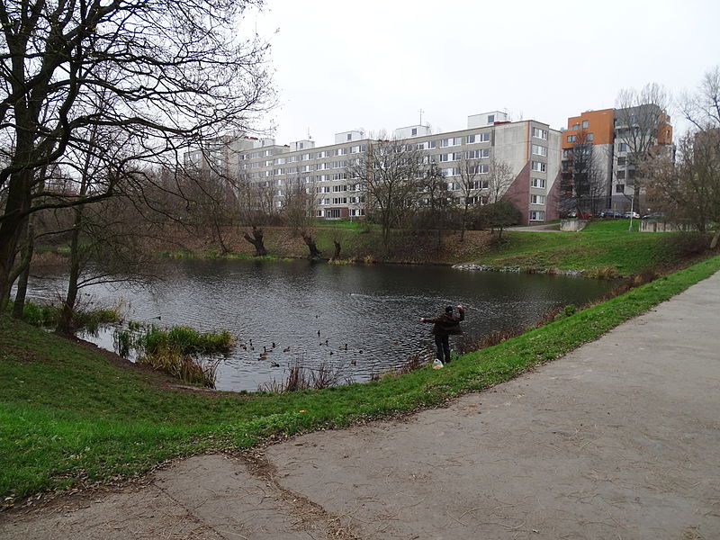 Panelák Housing in the Czech Republic and Slovakia