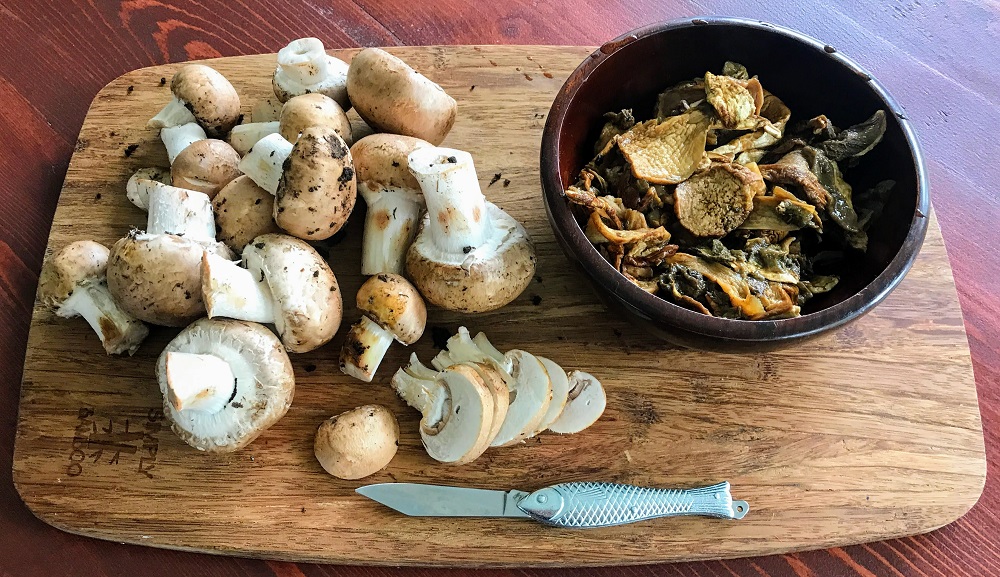 Traditional Czech Christmas Wild Mushroom Recipe